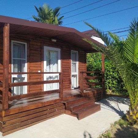 Guesthouse Mira Gagra Luaran gambar