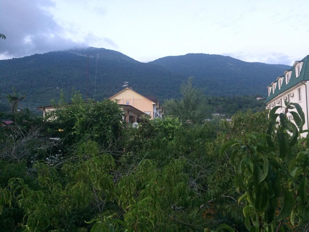 Guesthouse Mira Gagra Luaran gambar