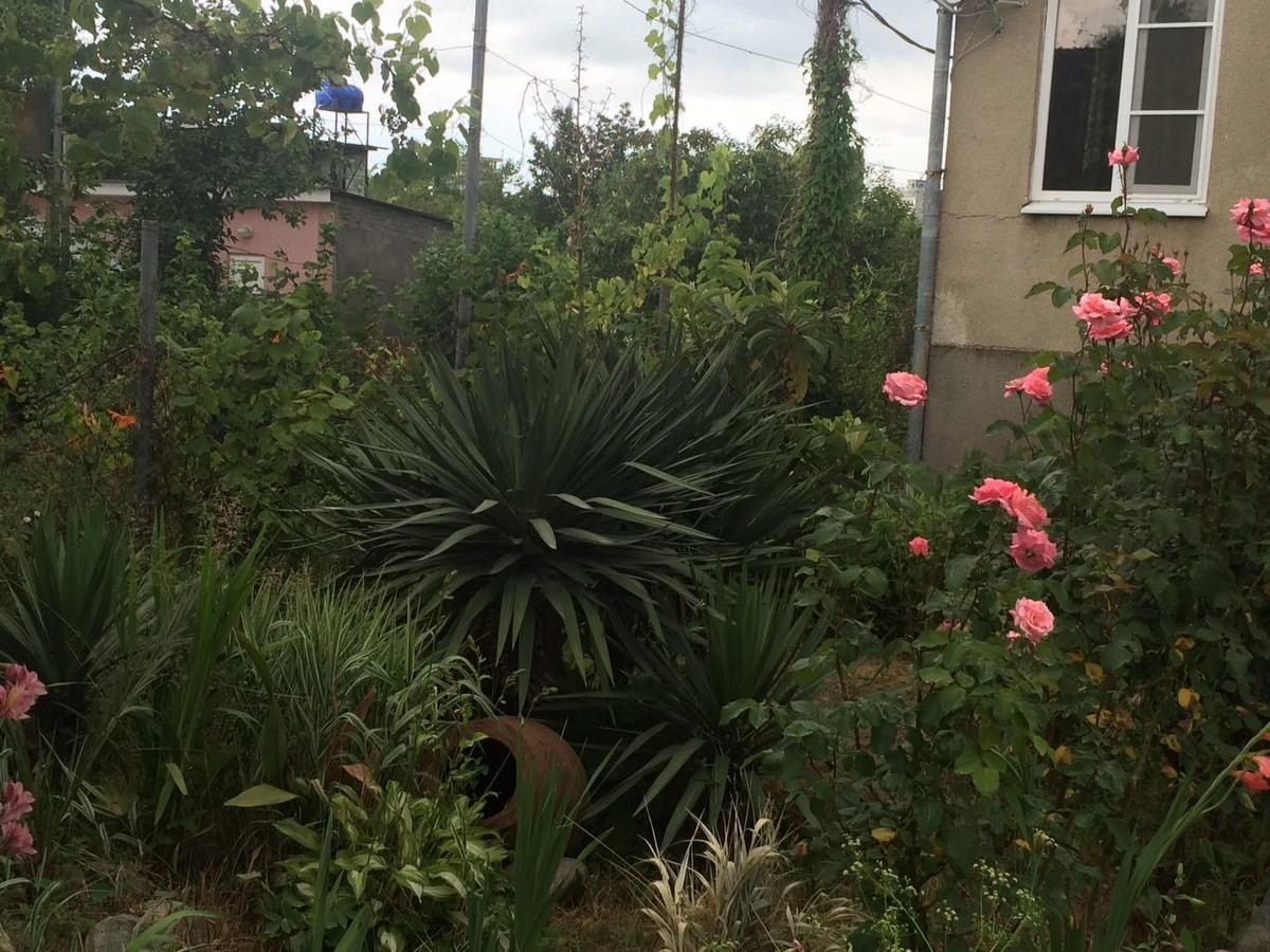 Guesthouse Mira Gagra Luaran gambar