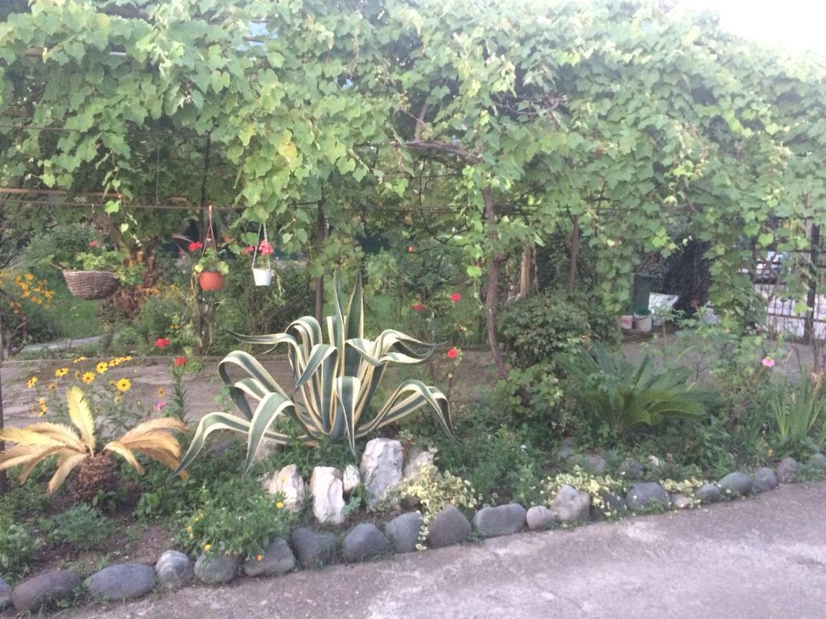 Guesthouse Mira Gagra Luaran gambar