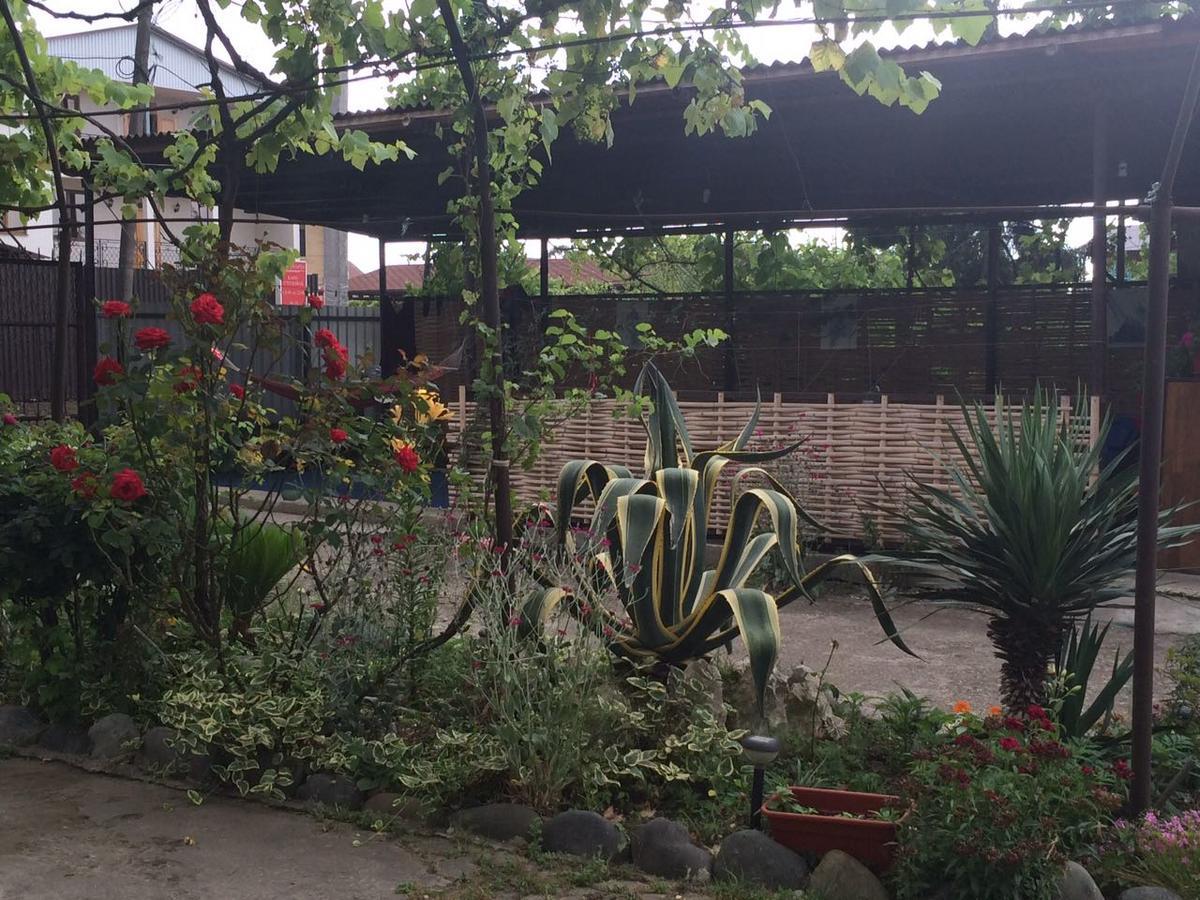 Guesthouse Mira Gagra Luaran gambar