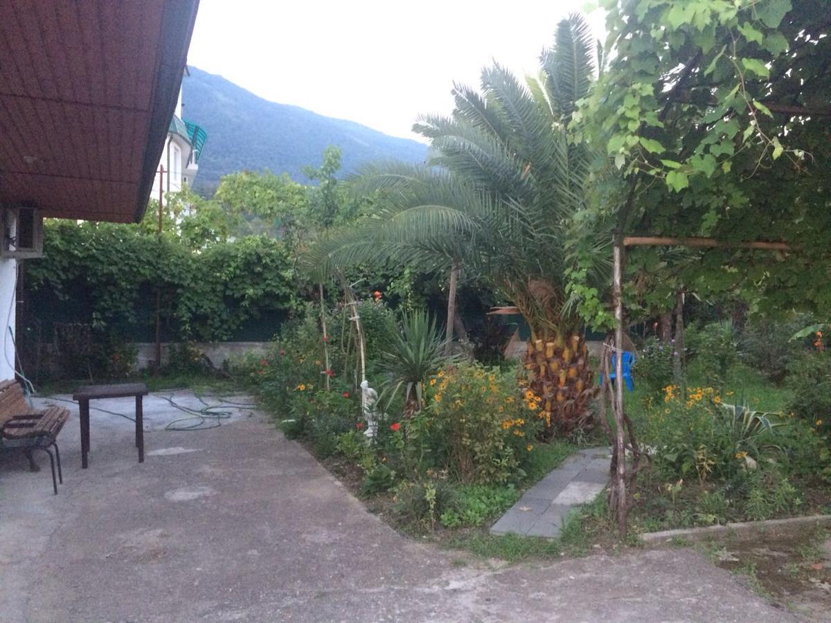 Guesthouse Mira Gagra Luaran gambar