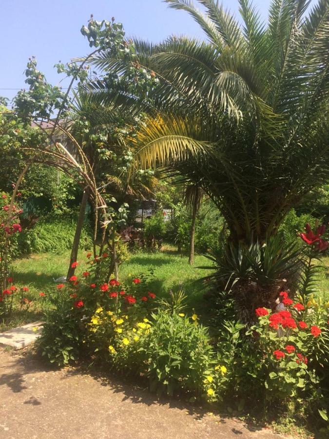Guesthouse Mira Gagra Luaran gambar