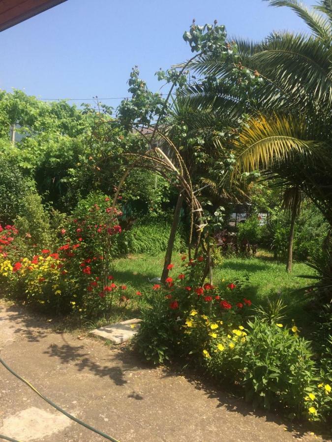Guesthouse Mira Gagra Luaran gambar